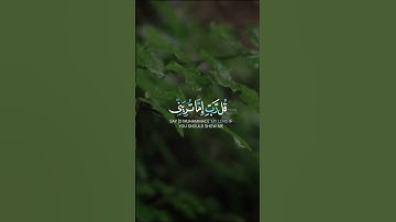 تلاوة خاشعة مع آيات مختارة من القرآن الكريم #66