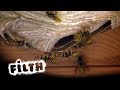 How To Remove A Wasps Nest | What's Inside?