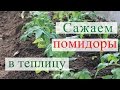 Посадка томатов в теплицу. (13.05.16)