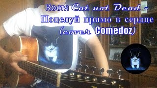 Костя Cat not Dead - Поцелуй прямо в сердце (cover Comedoz)