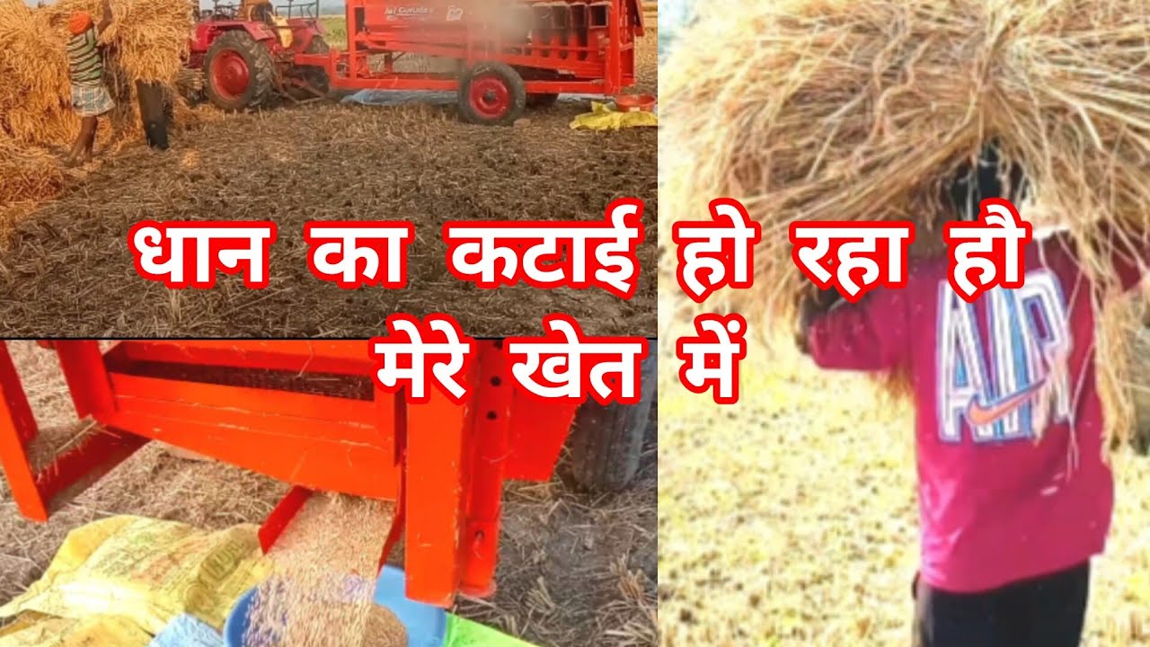 Kata Raha Aaj Dhaan kata raha hai gadi s + आज धान कटा रहा है गाड़ी से मेरा - YouTube