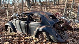 FREE Abandoned Car Found in Woods | Rare Vw Beetle Sitting for Years Rescued!