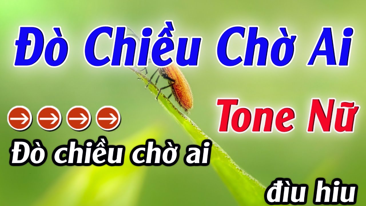 Karaoke Đò Chiều Chờ Ai Karaoke Tone Nữ Beat Hay Nhất 2025 Karaoke Mê Nhạc Sống
