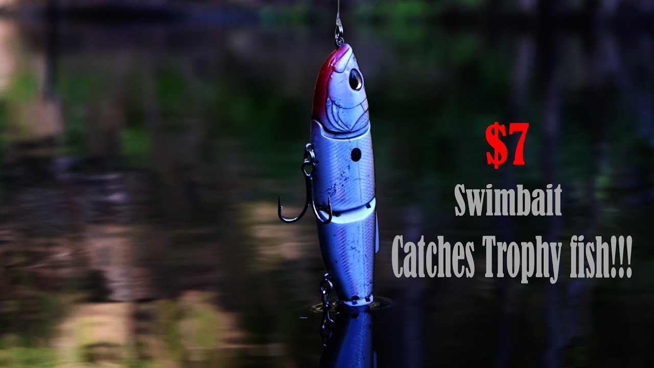 This $7 swimbait catches  trophy fish!! UNBELIEVABLE!!