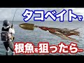 自作のタコベイトでロックフィッシュ（根魚）を狙ったら、釣れるのは〇〇…