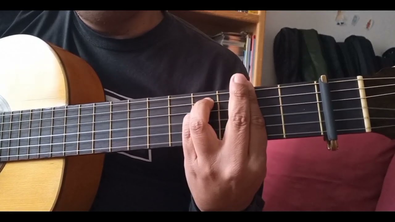 Los dos - Segunda voz y armonía #lospanchos #music #guitar #cover