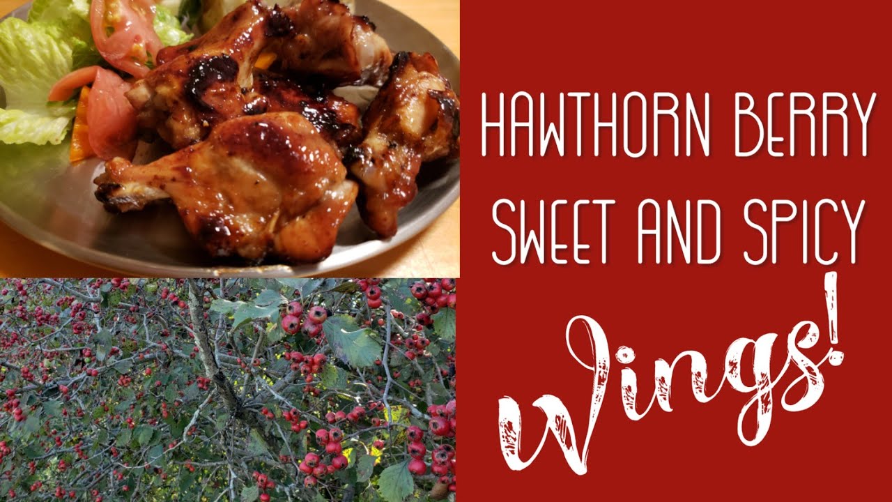 Hawthorn Berry Sweet 'n Spicy Wings!
