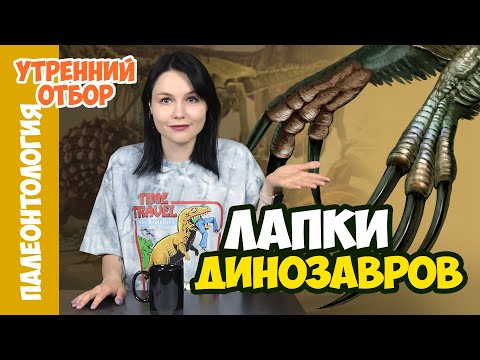 Лапки манирапторов: когти-косы и ‘культяпки’ / Лиза Гальперина