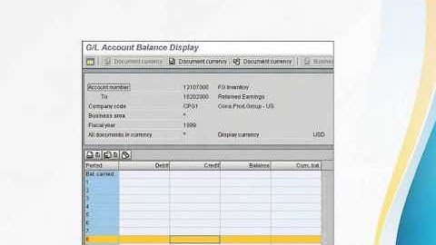 SAP FICO Display Accounts & Documents