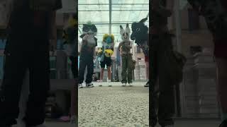 Video from 2024 #furry #fursona #fursuit #fursuiter #antizoo #aussefur #therian #quadrobics