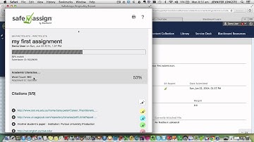 SafeAssign student view for academics