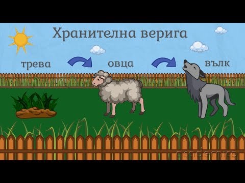 Хранене на животните - Човекът и природата 3 клас | academico