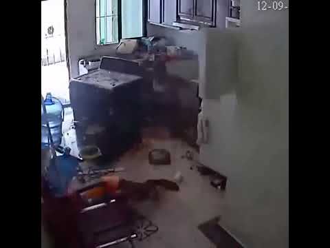 Vídeo mostra fogão explodindo em cozinha de residência