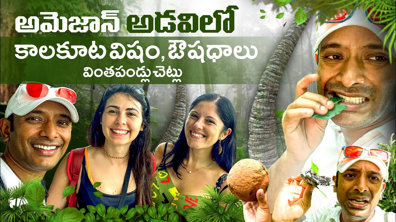 Medicine Plants in Amazon Forest YouTube