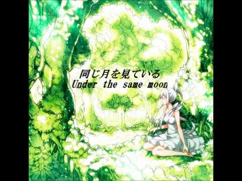 同じ月を見ている - qolo