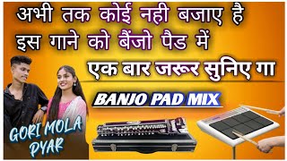 gori mola pyar || nonstop cg song || नॉनस्टॉप सीजी सॉन्ग || banjo pad mix