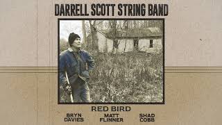 Darrell Scott String Band “Red Bird” (Official Audio)