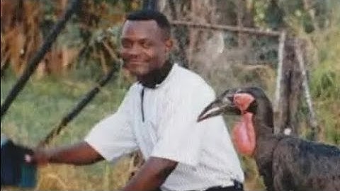 Simon Chopper Chimbetu - Mukoma zuva rarends