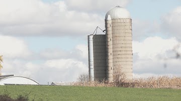 Freeport Soybean Farmer reflects on tariff impact