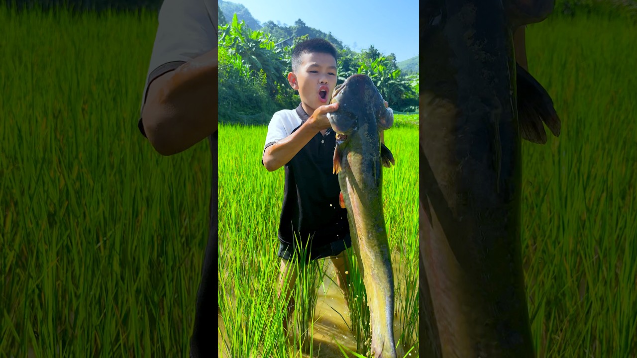 Latest Title & Thumbnail