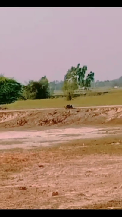 My New Vlog | Trending Daily Vlog | First Vlog | Nojir Vlog