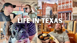 First Impressions of Life In the Austin Suburbs