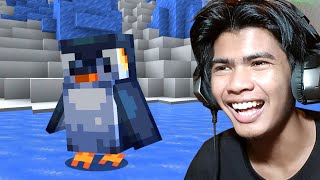 សត្វចេញថ្មី ក្នុងMinecraft