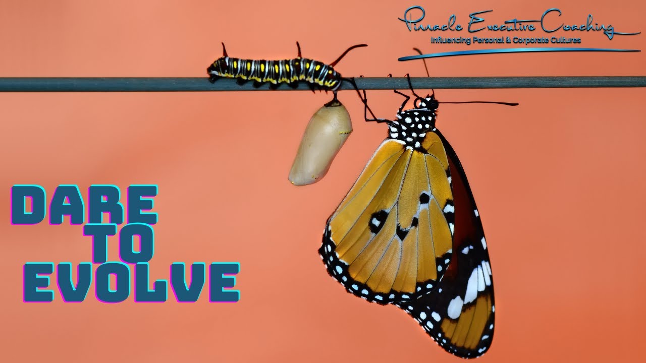 DARE TO EVOLVE - YouTube