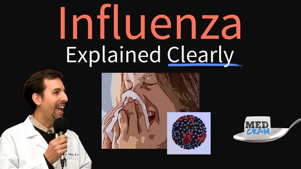 Influenza (Flu) Explained Clearly - Diagnosis, Vaccine, Treatment ...