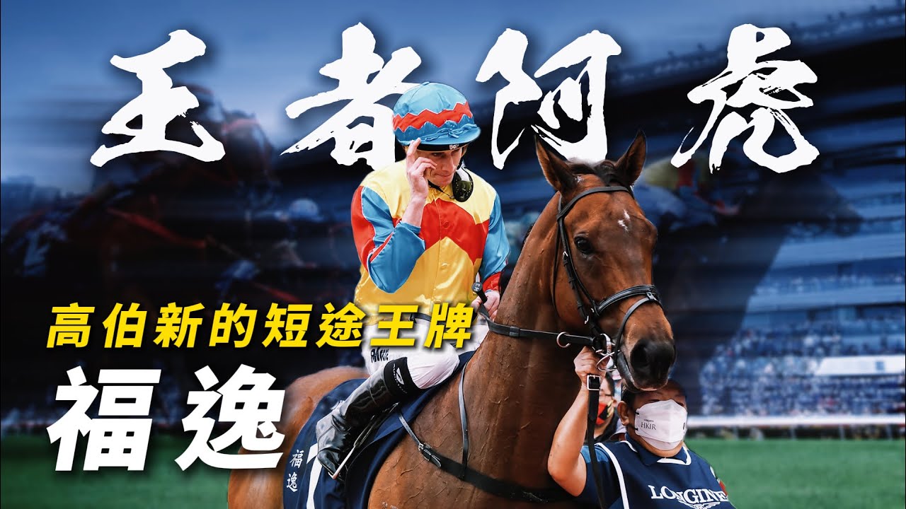 連天下第一高手莫雅都讚好！高伯新的短途王牌｜福逸｜巴度首度在港勝出國際一級賽｜克服連環墮馬意外陰影｜蟬聯主席短途獎｜#賽馬物語