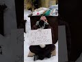 Гранта с торгов | Доступ в бесплатный мини-курс по торгам. Подробности в комментах 👇