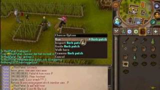 RS - Ultimate Herbs Farming Run MiniGuide I By Superken222