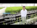 Green biotech cluster - Plant sciences in Ghent, Flanders, Belgium