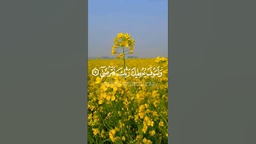 تلاوة مميزة ومؤثرة للقرآن الكريم للقارئ ماهر المعيقلي#القرآن_الكريم #quran#تلاوة_خاشعة#ماهر_المعيقلي