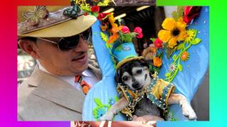 Here Comes Peter Cottontail_Gene Autry_Lyrics