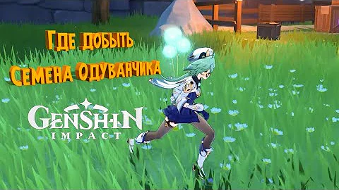 Где найти Семена Одуванчика | Genshin Impact (ГАЙД)
