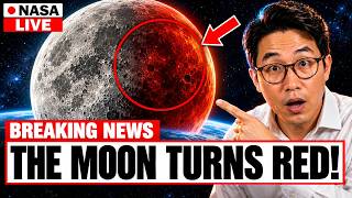 No One Alive Has Ever Seen This Happen to the Moon — And It Starts Next Week