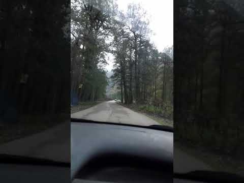 زندگی با عشق زادگاه من شهر زیبای نور جنگل بکر و بی نظیر