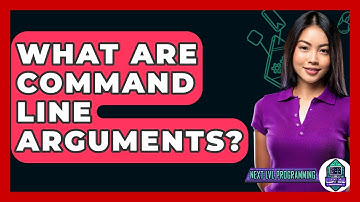 What Are Command Line Arguments? - Next LVL Programming