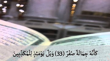 ياسر القزلان سورة المرسلات