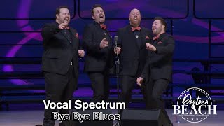 Vocal Spectrum - Bye Bye Blues