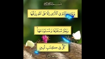 سورة هود الآية ( 6 )
