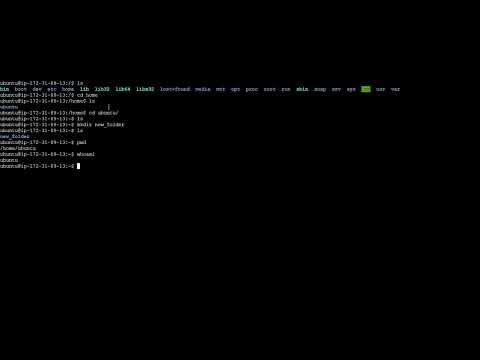 5 Basic Linux commands ls, cd, mkdir ,pwd, whoami everyone should know #devops  #linux