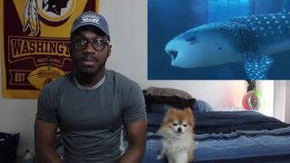 Finding Dory Official Trailer Reaction