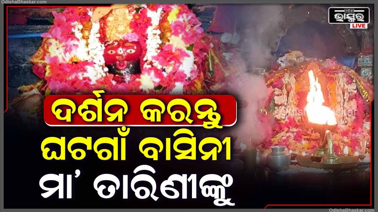 ଦୁଃଖୀ ରଙ୍କିଙ୍କ ସାହା ଭରଷା ମା ତାରିଣୀ..ସକାଳୁ ସକାଳୁ ମାର ଆଳତୀ ଦର୍ଶନ ହେଲେ ପୂର୍ଣ୍ଣ ହୁଏ ମନସ୍କାମନା