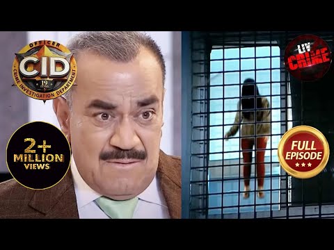 वीडियो: ईगल3डी और पीओवी-रे का उपयोग करके अपने पीसीबी की 3डी छवियां प्रस्तुत करें: 5 चरण (चित्रों के साथ) वीडियो: ईगल3डी और पीओवी-रे का उपयोग करके अपने पीसीबी की 3डी छवियां प्रस्तुत करें: 5 चरण (चित्रों के साथ)