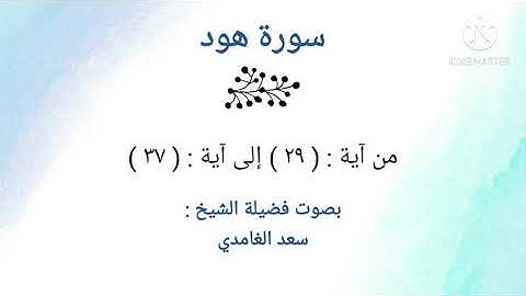سورة هود | من آية: ٢٩ إلى آية: ٣٧