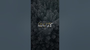 كدأب آل فرعون والذين من قبلهم | تلاوة خاشعة من القارئ عبدالرحمن مسعد 🤍 | قرآن كريم