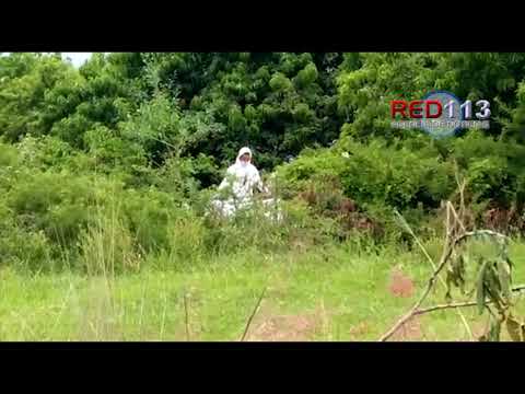 VIDEO Hallan a hombre estrangulado y maniatado, en el municipio de Morelia