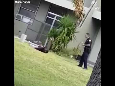 A Miami cop kicks a handcuffed man in the head